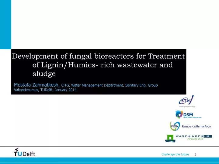 development of fungal bioreactors for treatment of lignin humics rich wastewater and sludge