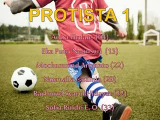 protista 1