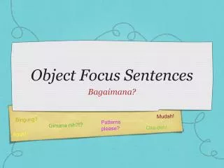 object focus sentences
