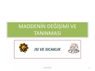 madden n de m ve taninmasi