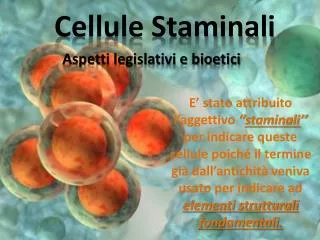 cellule staminali