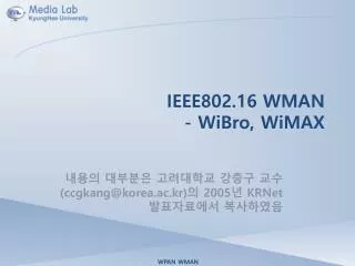 IEEE802.16 WMAN - WiBro, WiMAX