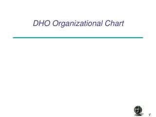 DHO Organizational Chart