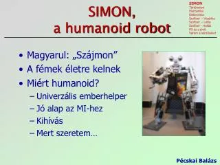 simon a humanoid robot