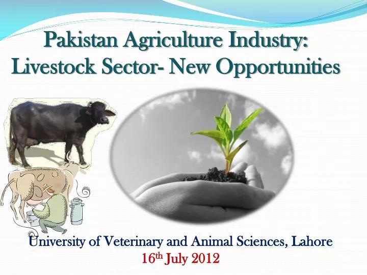 pakistan agriculture industry livestock sector new opportunities