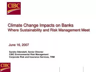 Climate Change Impacts on Banks Where Sustainability and Risk Management Meet