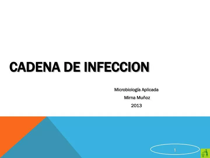 cadena de infeccion