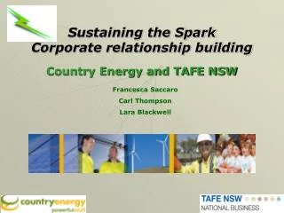 Sustaining the Spark Corporate relationship building Country Energy and TAFE NSW