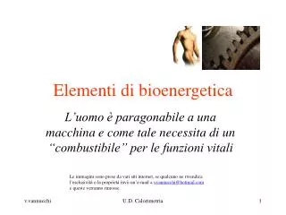 elementi di bioenergetica
