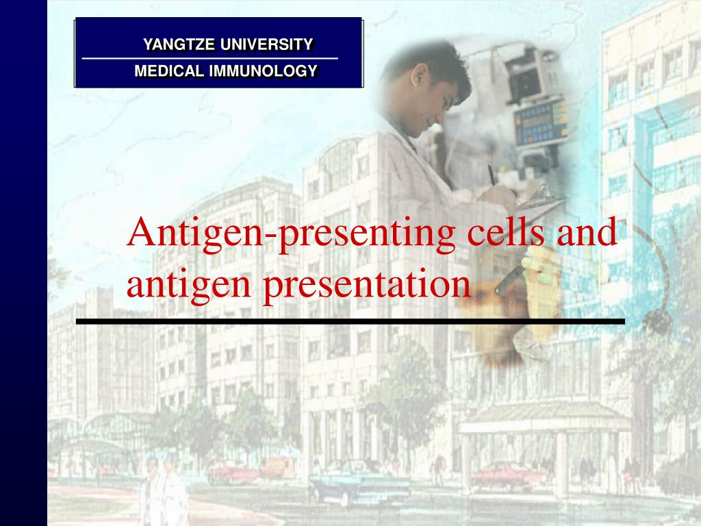 PPT - Antigen-presenting cells and antigen presentation PowerPoint ...