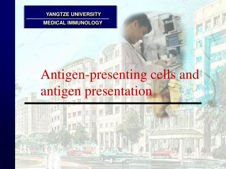 antigen presenting cells and antigen presentation