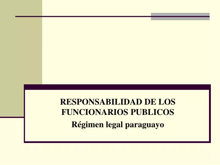 responsabilidad de los funcionarios publicos r gimen legal paraguayo