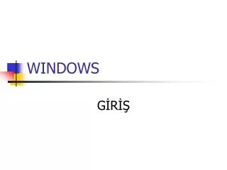 windows