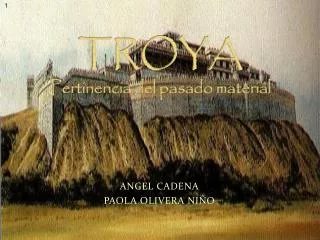 troya pertinencia del pasado material