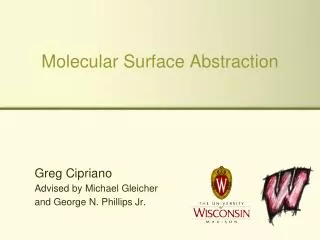 Molecular Surface Abstraction