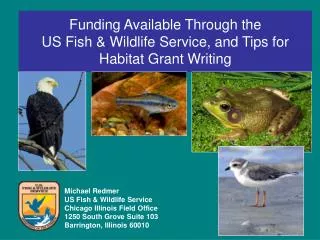 Funding Available Through the US Fish &amp; Wildlife Service, and Tips for Habitat Grant Writing