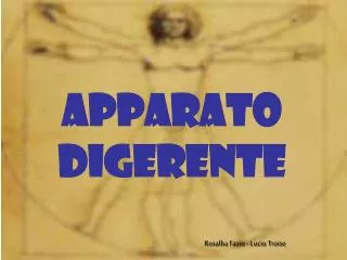 apparato digerente