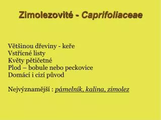 zimolezovit caprifoliaceae