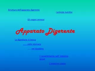apparato digerente