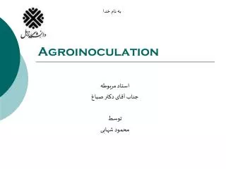 agroinoculation