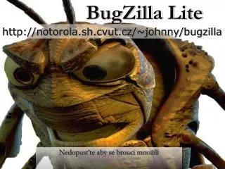 bugzilla lite