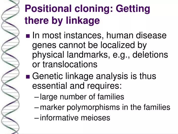 positional cloning getting there by linkage