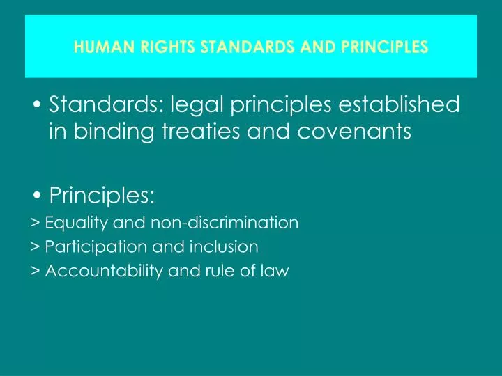 human rights standards and principles