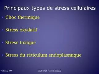 principaux types de stress cellulaires