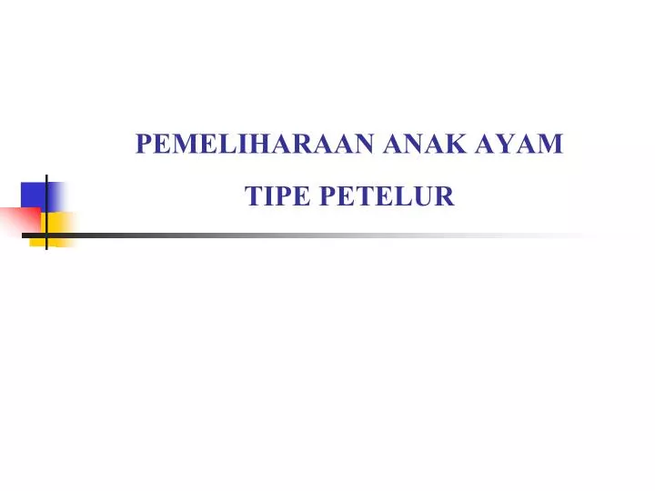 pemeliharaan anak ayam tipe petelur