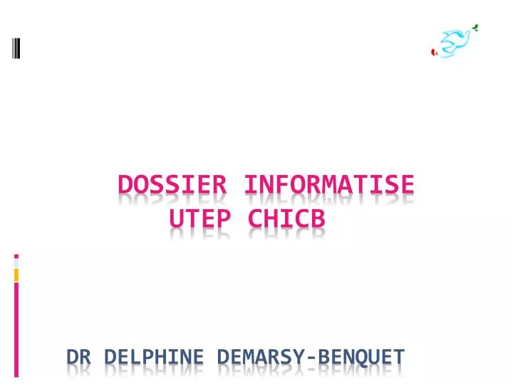 dossier informatise utep c hicb dr delphine demarsy benquet