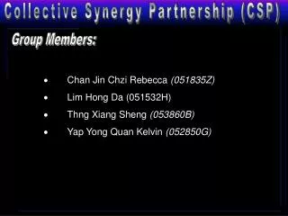 Collective Synergy Partnership (CSP)
