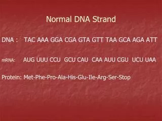 Normal DNA Strand