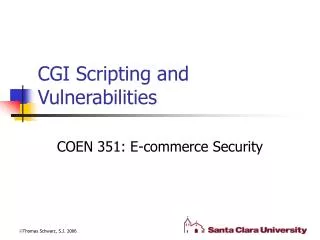 CGI Scripting and Vulnerabilities