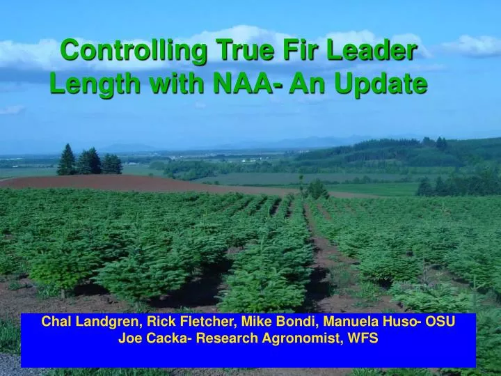 controlling true fir leader length with naa an update
