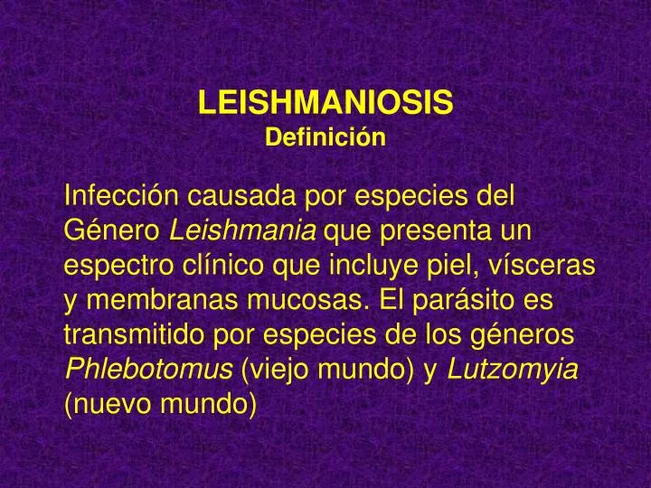 leishmaniosis definici n