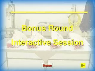Bonus Round Interactive Session