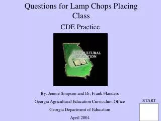 Questions for Lamp Chops Placing Class