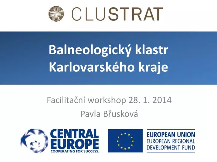 facilita n workshop 28 1 2014 pavla b uskov