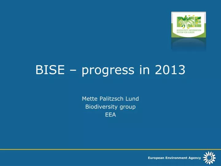 bise progress in 2013
