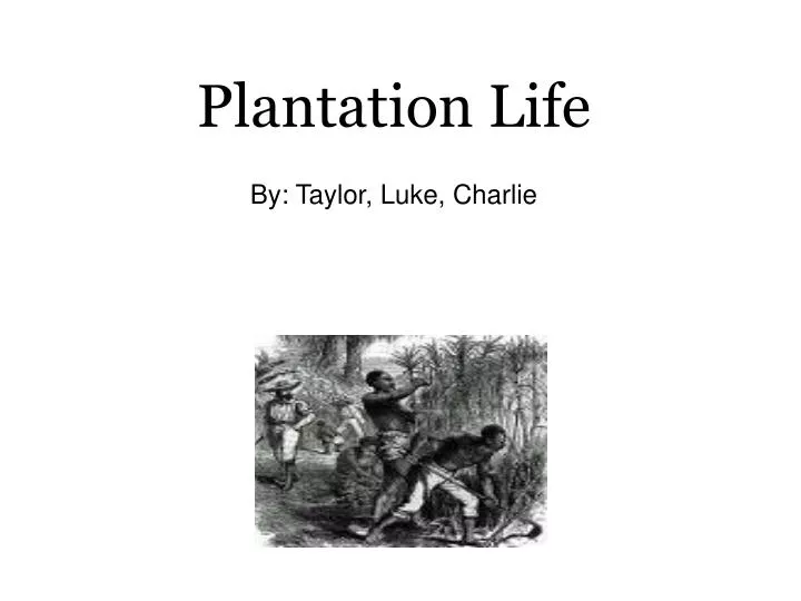 plantation life