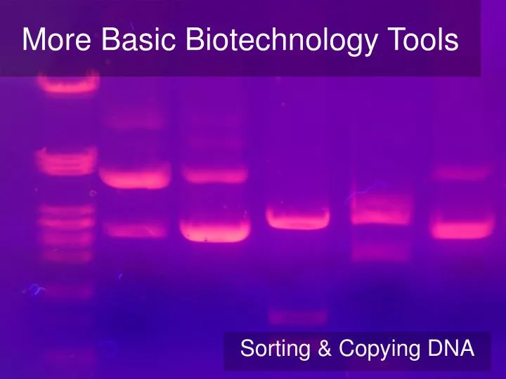 more basic biotechnology tools