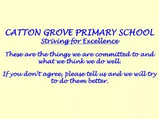 CATTON GROVE PRIMARY SCHOOL Striving for Excellence