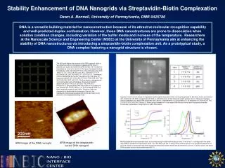 Stability Enhancement of DNA Nanogrids via Streptavidin-Biotin Complexation