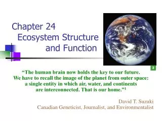 Chapter 24 Ecosystem Structure and Function