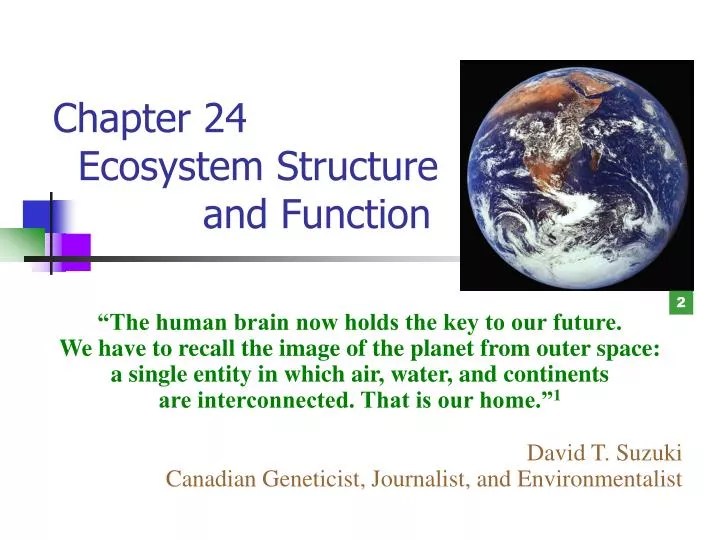 chapter 24 ecosystem structure and function
