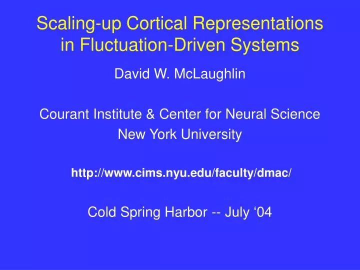 scaling up cortical representations in fluctuation driven systems