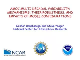 AMOC MULTI-DECADAL VARIABILITY: MECHANISMS, THEIR ROBUSTNESS, AND IMPACTS OF MODEL CONFIGURATIONS