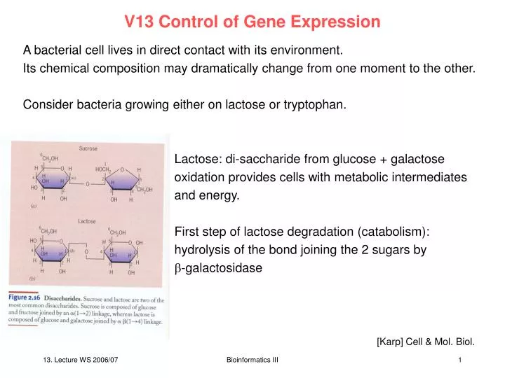 v13 control of gene expression