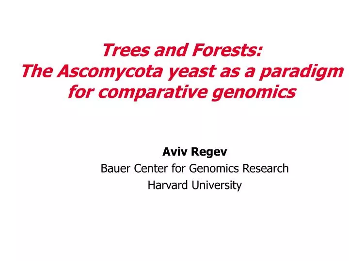 trees and forests the ascomycota yeast as a paradigm for comparative genomics