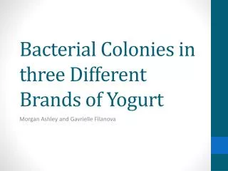 Bacterial C olonies in three Different Brands of Yogurt